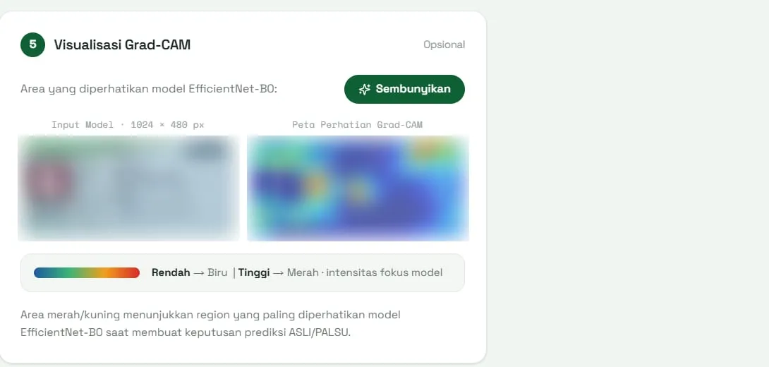 Grad-CAM view: the model input beside a heat map of the regions
            that drove the prediction, with a low-to-high colour legend.